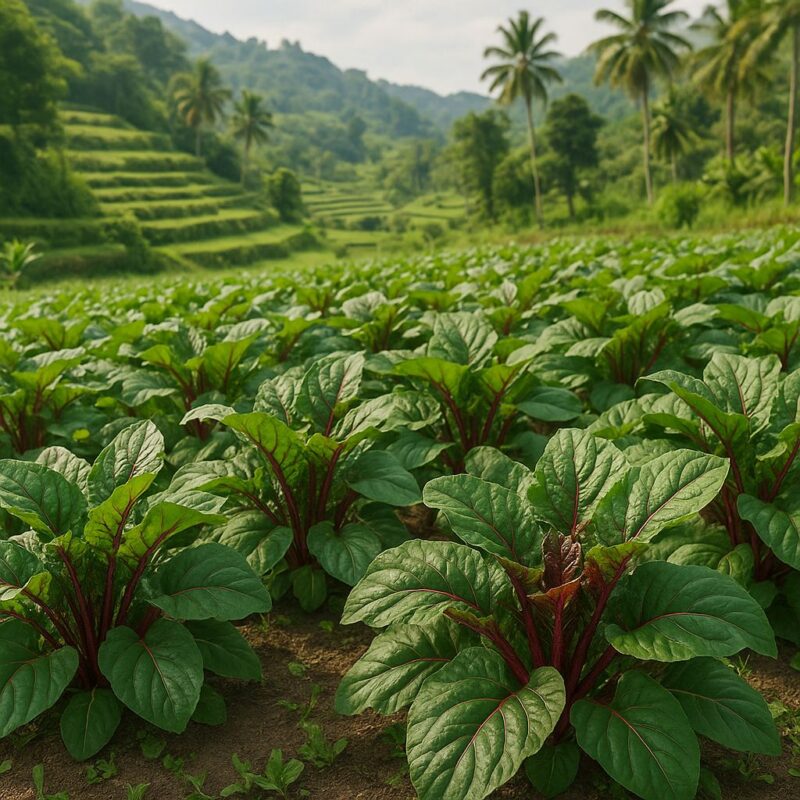 Edilberto Santiago Jr Bulacan Philippines Songwriter Author Farmer Blogger
