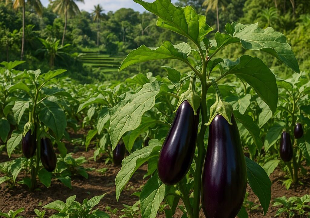 Edilberto Santiago Jr Bulacan Philippines Songwriter Author Farmer Blogger