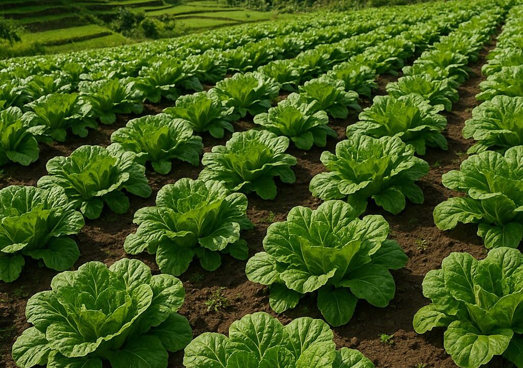 Edilberto Santiago Jr Bulacan Philippines Songwriter Author Farmer Blogger