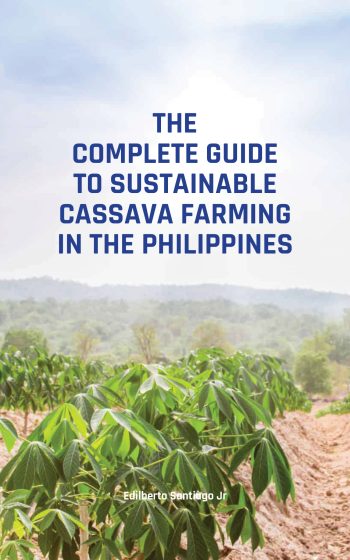 Cultivating Cassava Edilberto Santiago Jr Edilberto Santiago Jr Bulacan Philippines Songwriter Author Farmer Blogger
