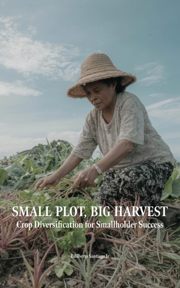Small Plot Big Harvest Edilberto Santiago Jr Edilberto Santiago Jr Bulacan Philippines Songwriter Author Farmer Blogger